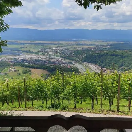 My In The Center ليوبليانا