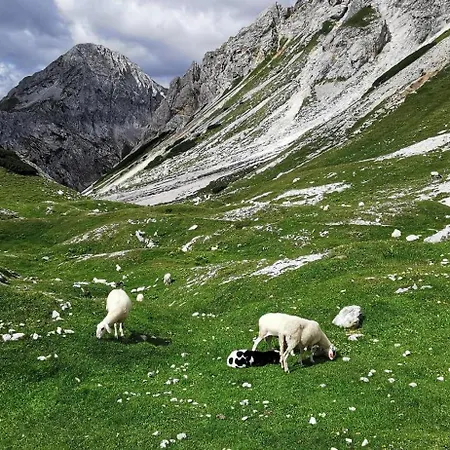 My In The Center * ليوبليانا