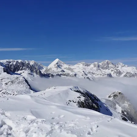 My In The Center * 卢布尔雅那