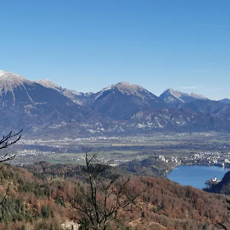 Lejlighed My In The Center *