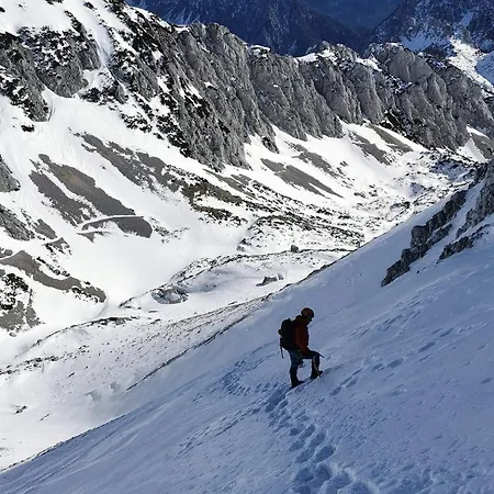 My In The Center * ليوبليانا