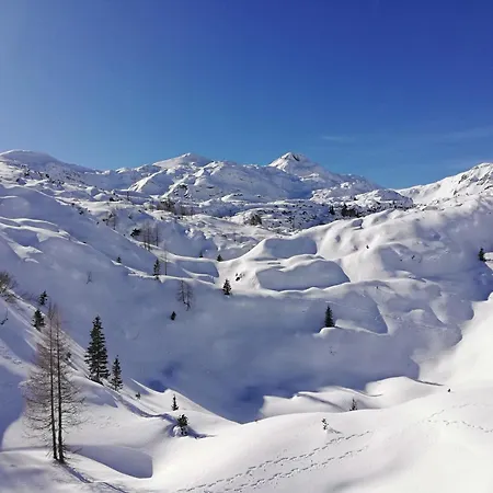 公寓 My In The Center *