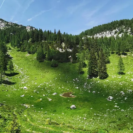 My In The Center 公寓 *