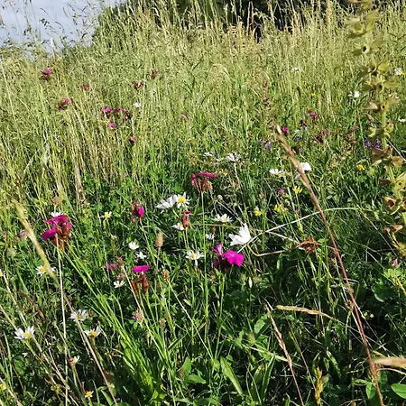 My In The Center 公寓