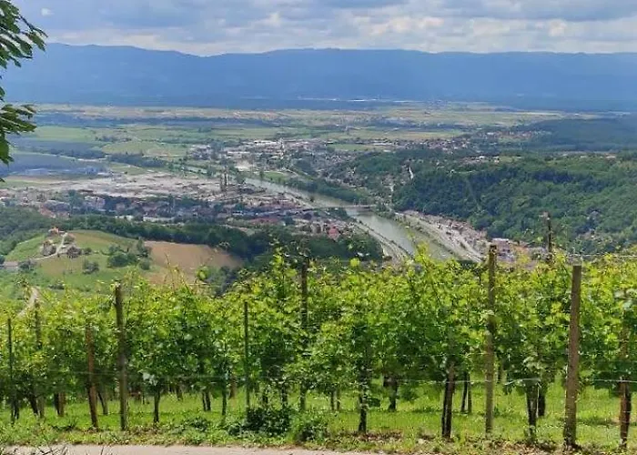 My In The Center Ljubljana