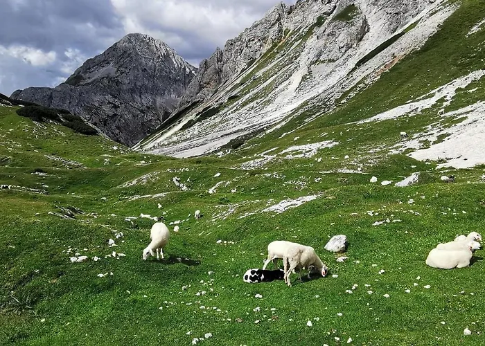 My In The Center * Ljubljana