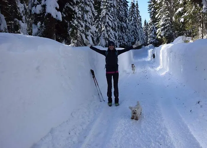 Apartma My In The Center