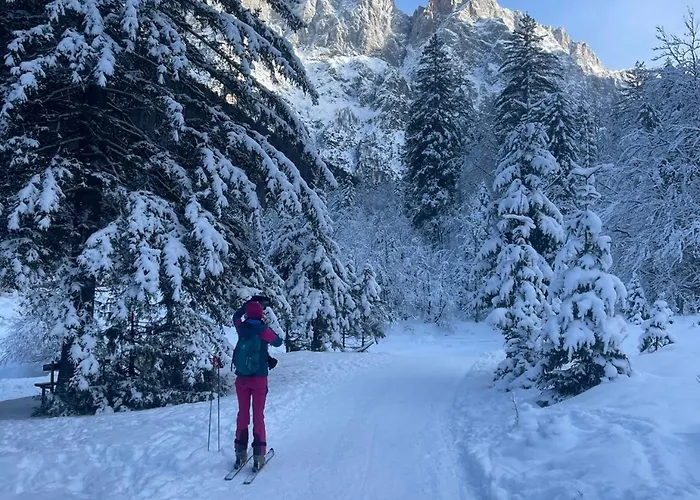 My In The Center Lejlighed *