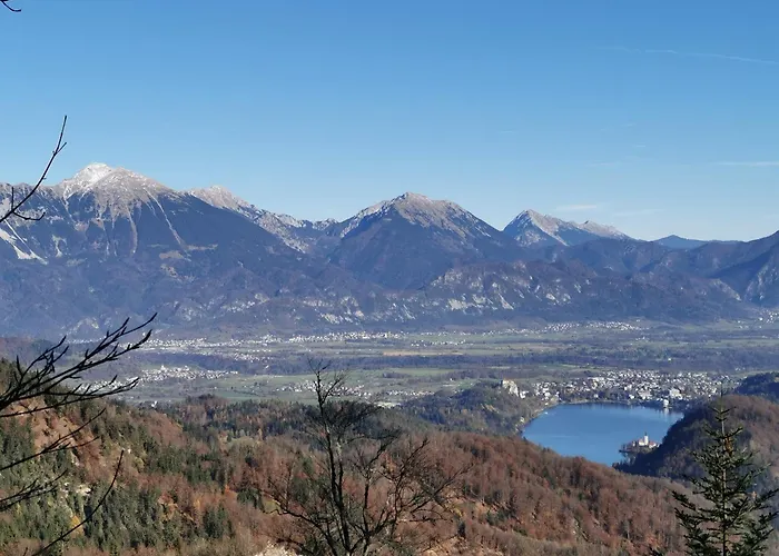 Apartma My In The Center *