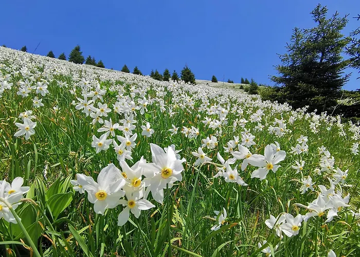 My In The Center * Ljubljana