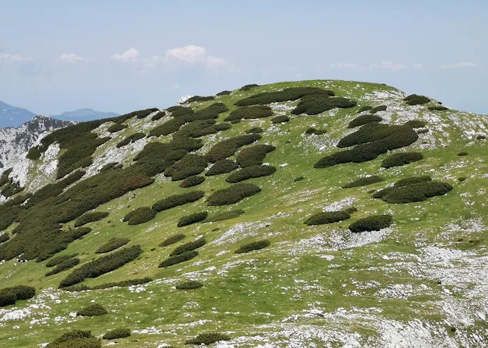 Apartma My In The Center