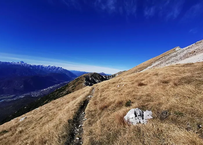 My In The Center Lejlighed Ljubljana