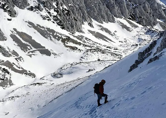 My In The Center * Ljubljana