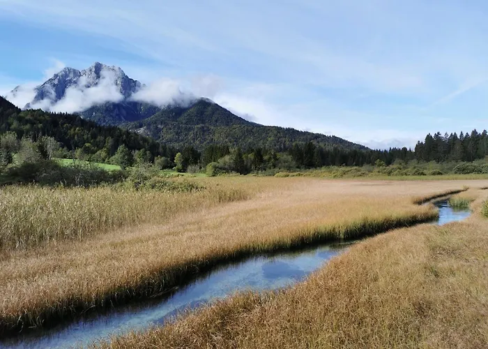 My In The Center Apartma Ljubljana