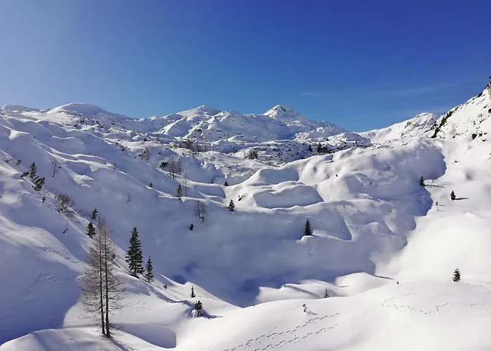 Lejlighed My In The Center *