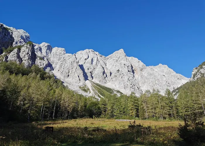 My In The Center * Ljubljana