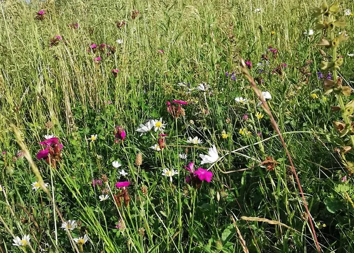 My In The Center Apartma