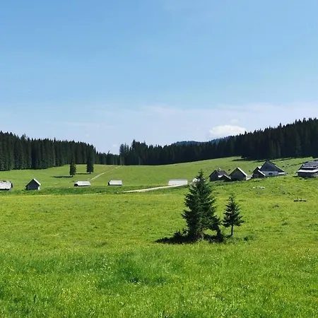 My In The Center Apartman