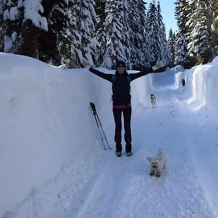 Apartman My In The Center