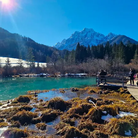 Apartman My In The Center