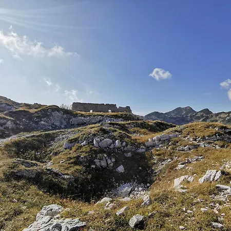 Apartman My In The Center Ljubljana