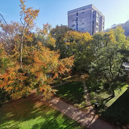 My In The Center Apartman *