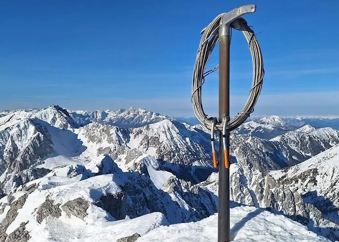 Daire My In The Center *