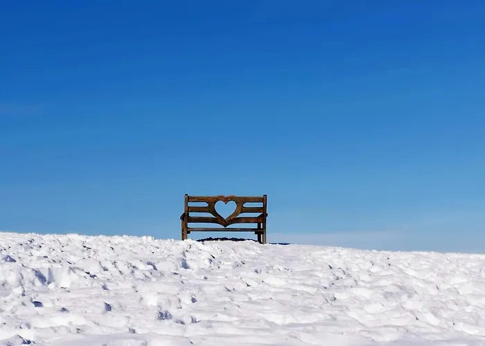 Daire My In The Center Ljubljana