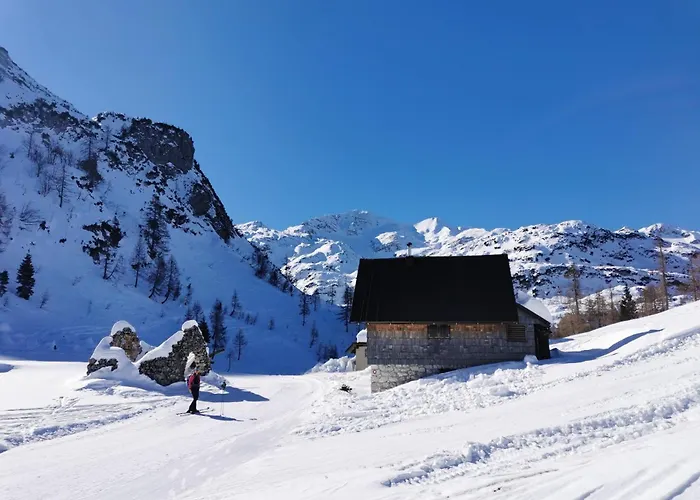 My In The Center * Ljubljana