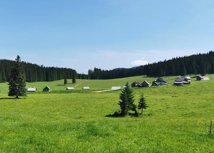 My In The Center Daire