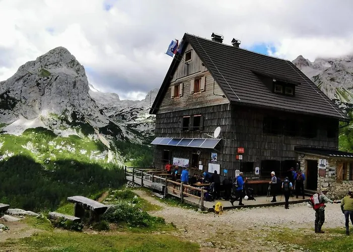 Daire My In The Center