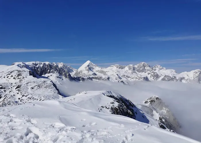 My In The Center * Ljubljana