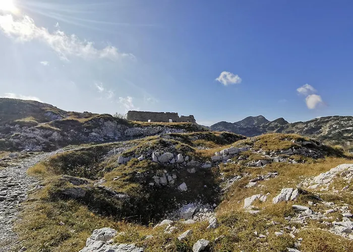 Daire My In The Center Ljubljana