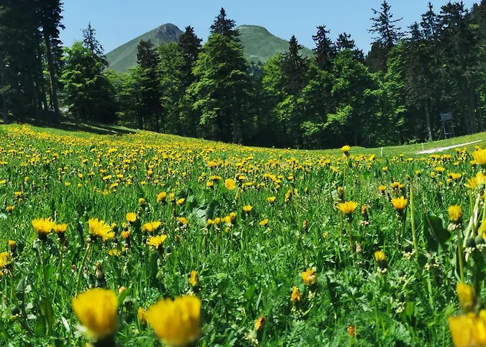 My In The Center * Ljubljana
