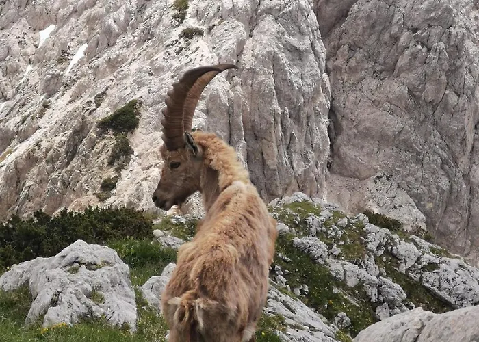 My In The Center * Ljubljana