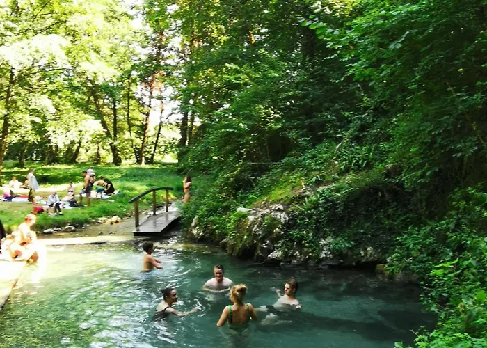 Daire My In The Center