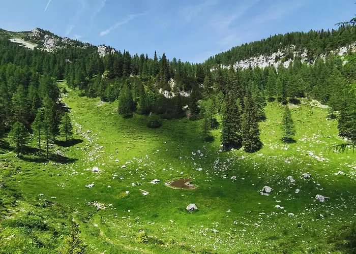 My In The Center Daire *