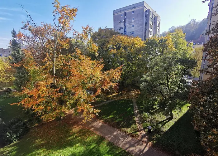 My In The Center Daire *