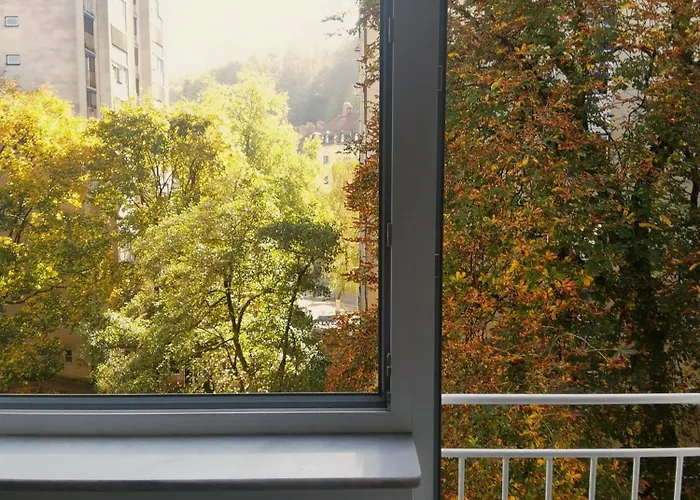 Daire My In The Center *